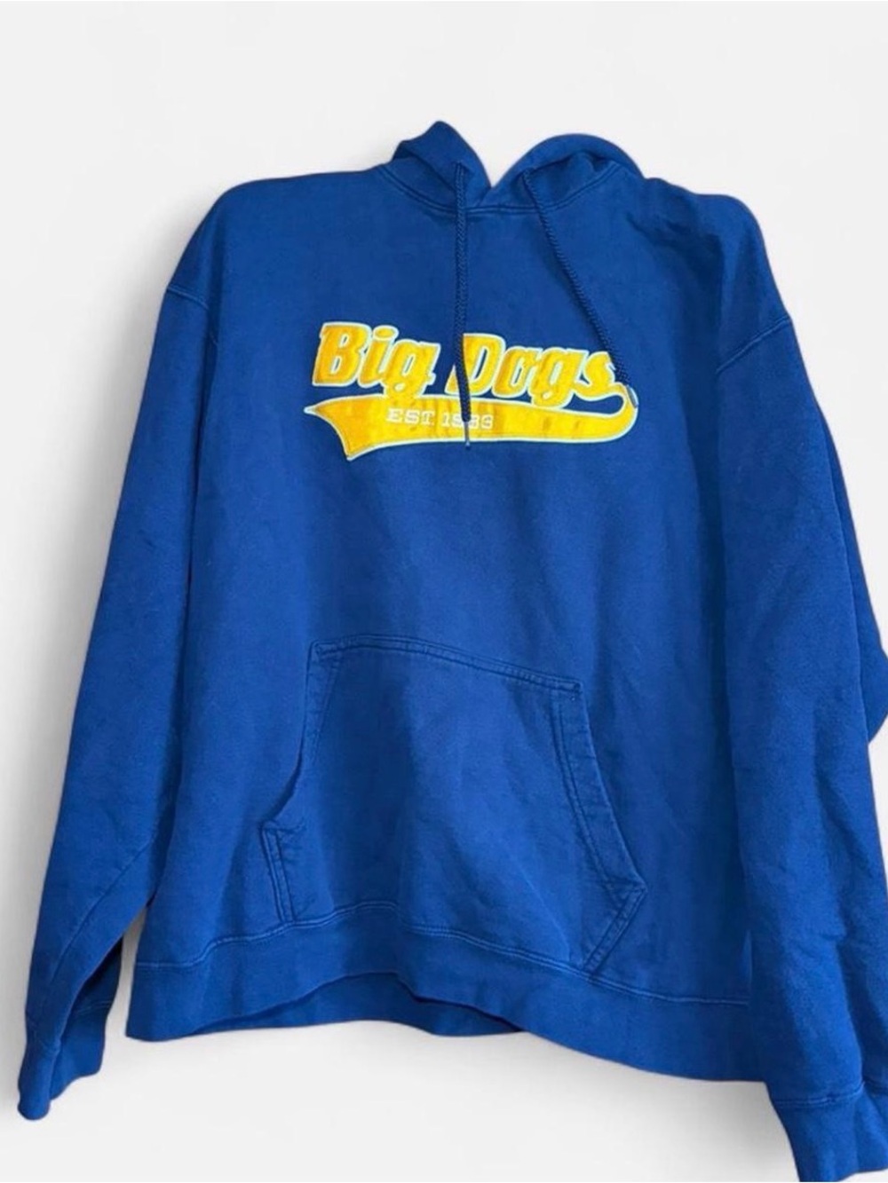 Hanes Royal Blue Hoodie with Yellow "Big Dogs" Logo